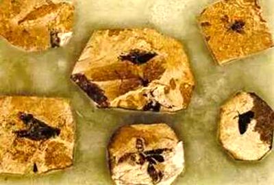 1573911377701418.jpg 1573911377701418.jpg